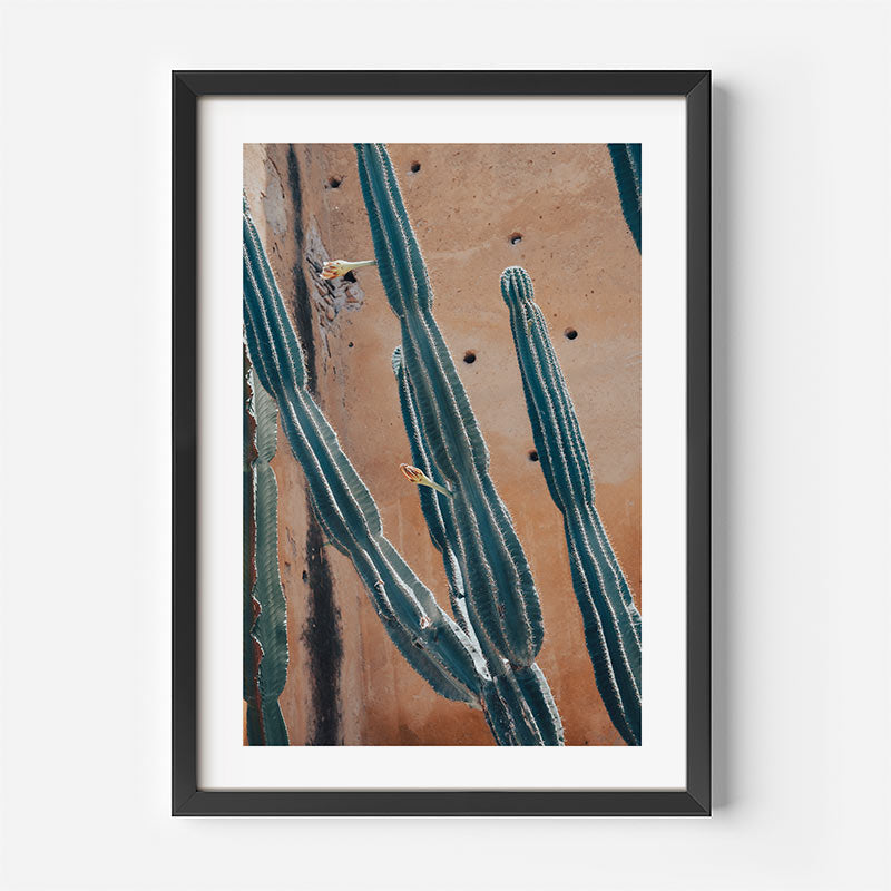 Framed artwork of cacti against a textured wall on a white background