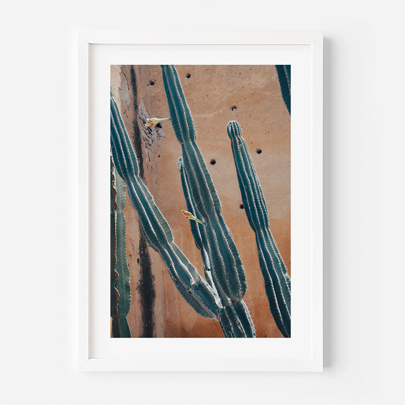 Framed artwork of cacti on a textured wall background