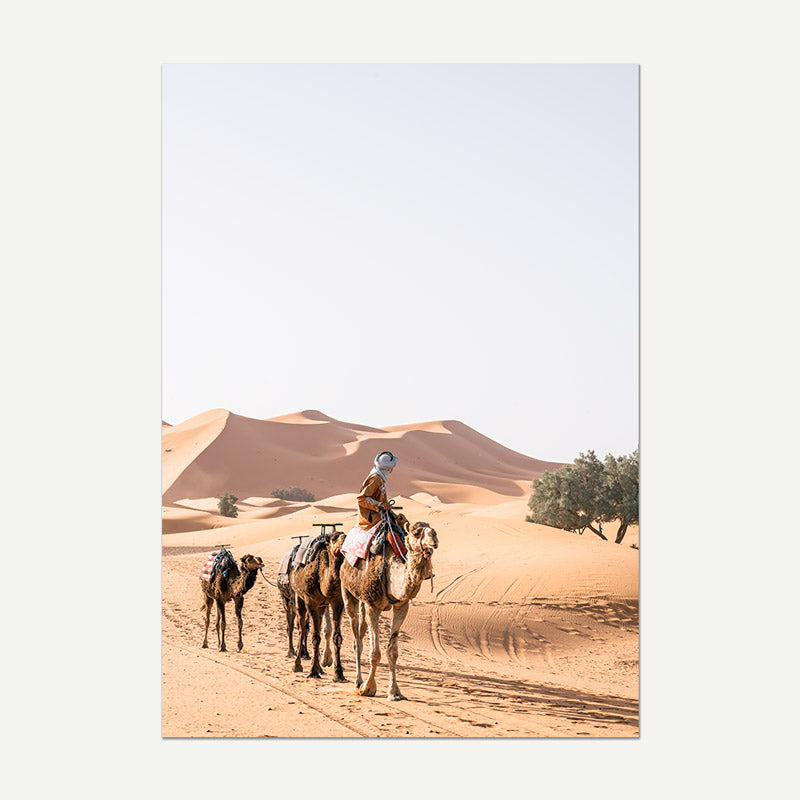 Camel caravan in a desert landscape with sand dunes and sparse vegetation.
