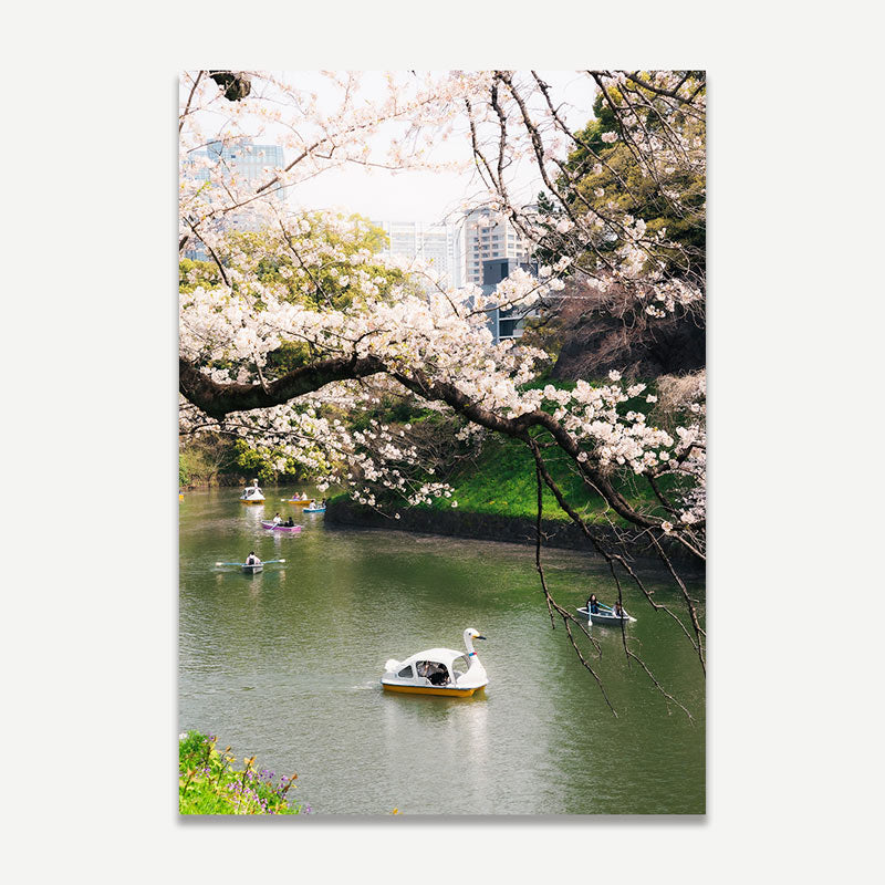 Spring Blooms in Chidorigafuchi Art Print