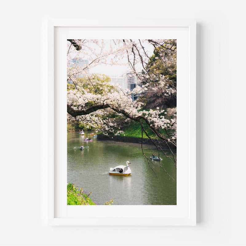 Spring Blooms in Chidorigafuchi Art Print