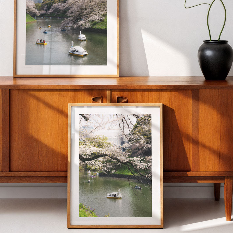 Spring Blooms in Chidorigafuchi Art Print