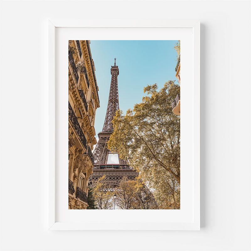 Framed photograph of the Eiffel Tower with trees in the foreground on a white background