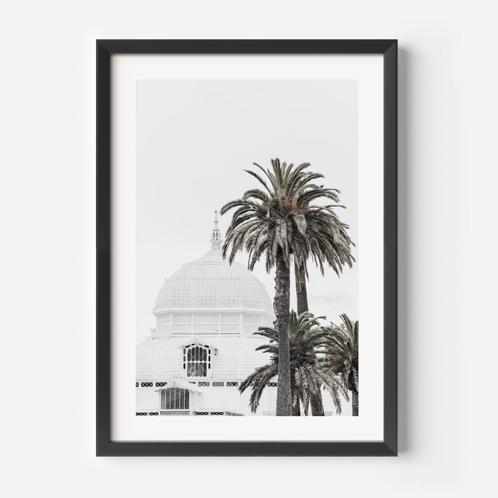 Modern art canvas print showcasing majestic palm trees and serene beauty of San Francisco’s Conservatory.