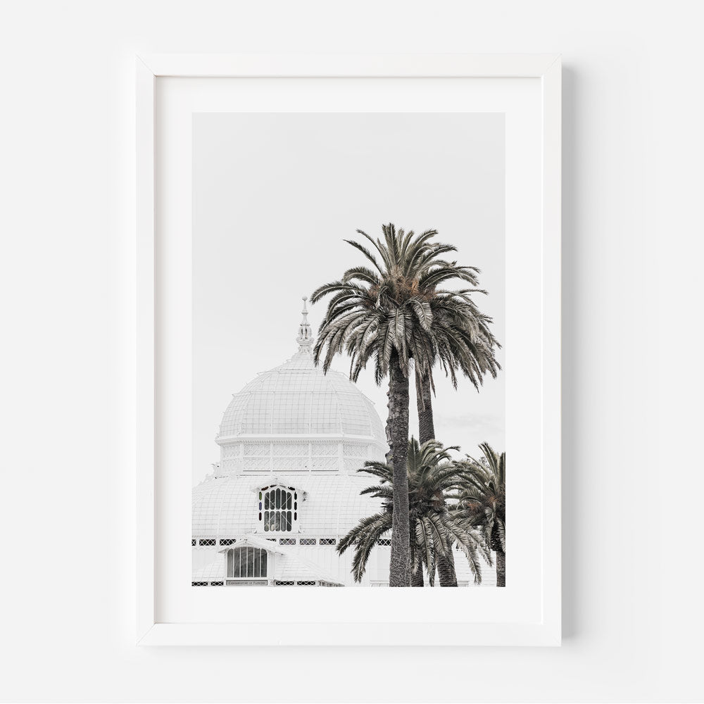 White Dome Palms wall art print featuring San Francisco’s Conservatory of Flowers with palm trees.