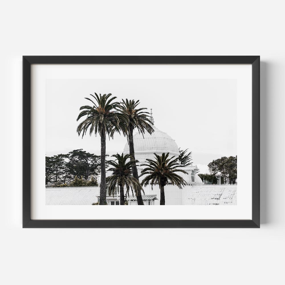 Framed art featuring San Francisco’s iconic glasshouse surrounded by graceful palm trees and timeless elegance.