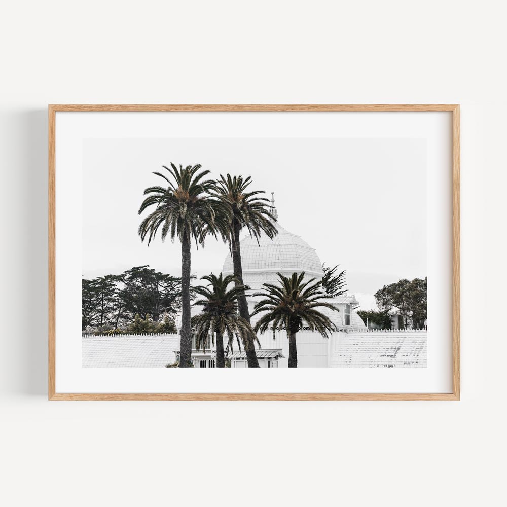 Elegant canvas print showcasing the Conservatory of Flowers and majestic palm trees, perfect for modern decor.