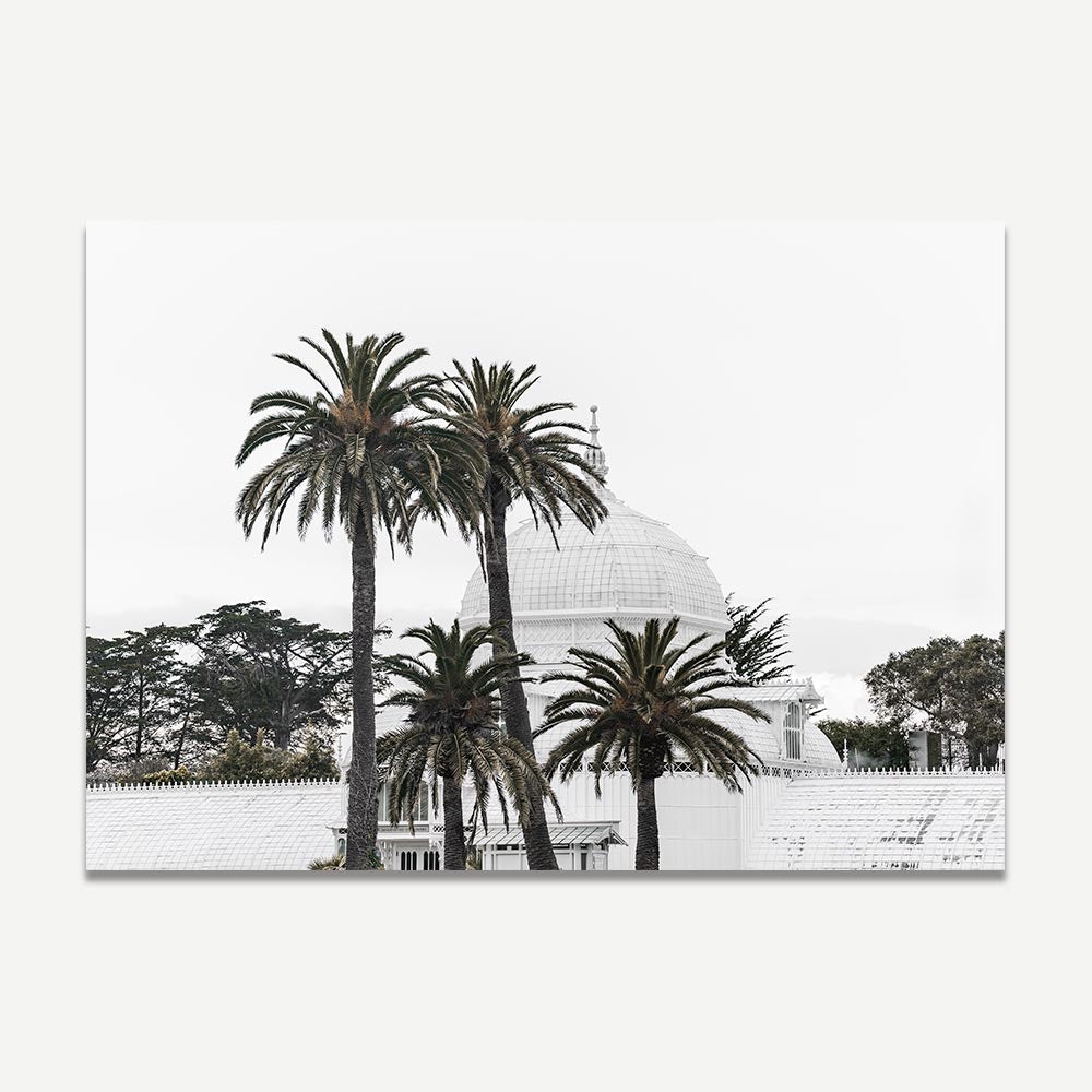 Fine art print of San Francisco's Conservatory of Flowers with palm trees, blending serene beauty and sophistication.