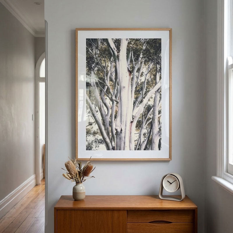 White Gums Art Print