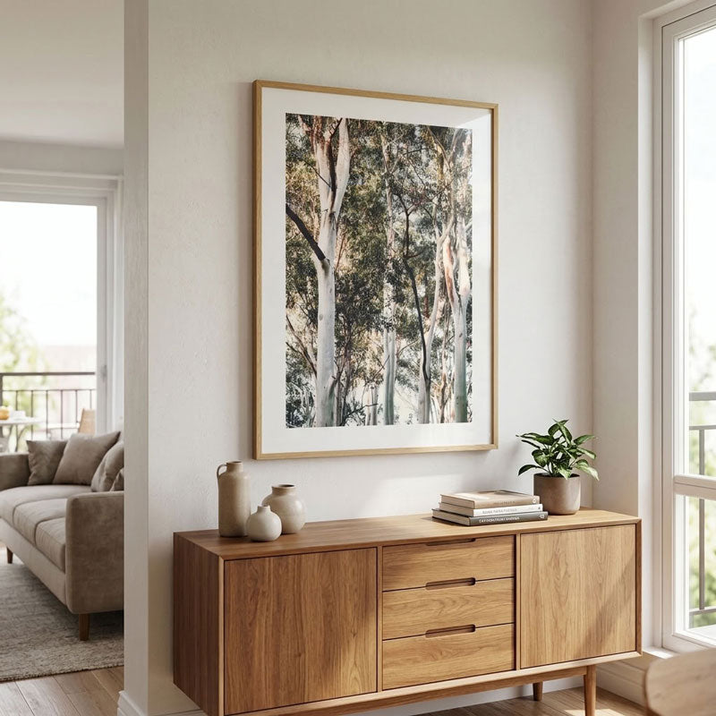Australian White Gums Art Print