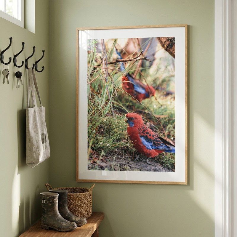 A framed art print featuring a red and blue saltator bird in a natural grassy setting, displayed on a sage green wall in a styled entryway with coat hooks, a tote bag, and boots.