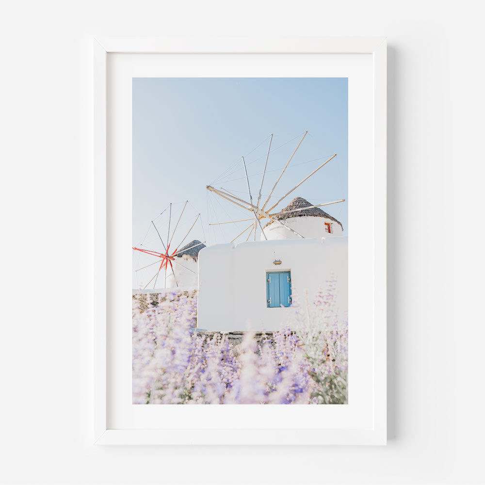 Windmills & Lavender Art Print