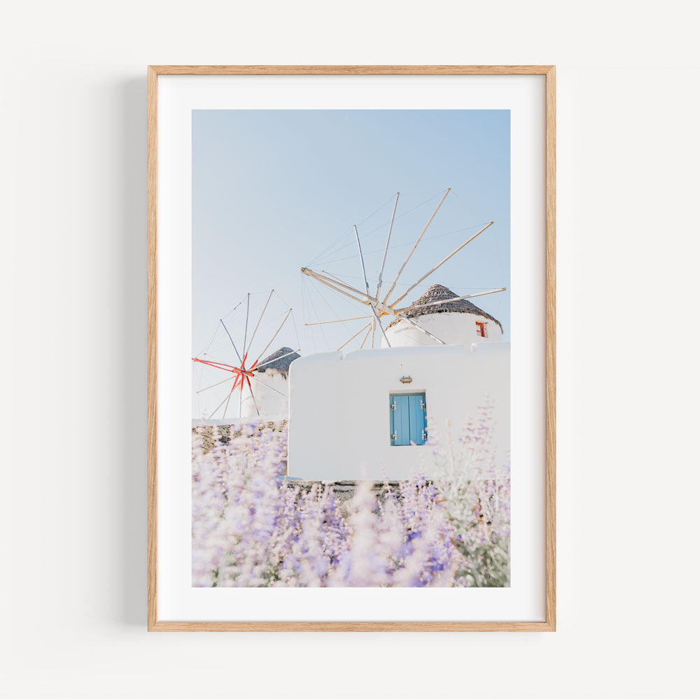 Windmills & Lavender