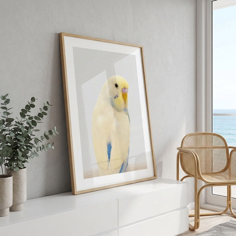 Yellow Face Blue Budgie Art Print