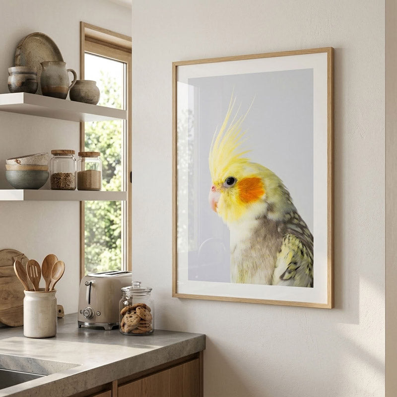 A framed wall art print featuring a close-up photograph of a cockatiel bird, hung on a light-colored wall in a modern kitchen setting.