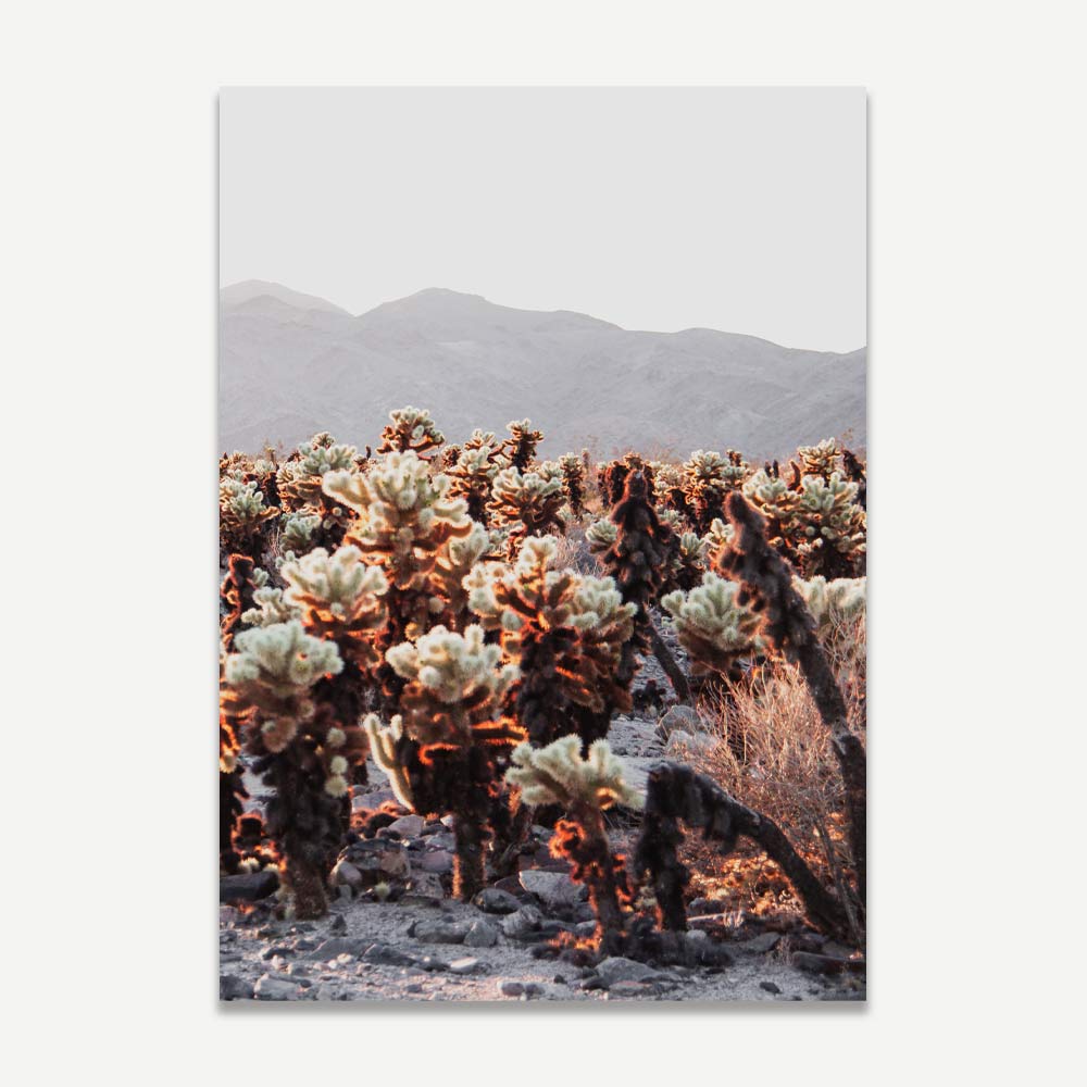 Southwestern Landscape: Canvas print featuring the vibrant hues of the Cholla Cactus Garden in California, perfect for enhancing your wall decor.