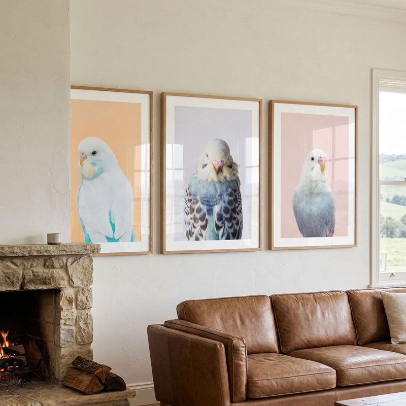 Three framed art prints of budgerigars hanging on a beige wall above a brown leather sofa and next to a stone fireplace.