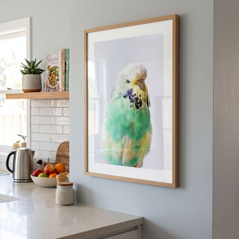 A framed art print of a green and yellow budgerigar parrot hanging on a light gray wall in a modern kitchen setting.