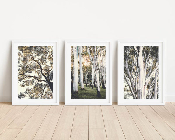 Set of 3 - Under The Gum I / Ghost Gums II & White Gums I