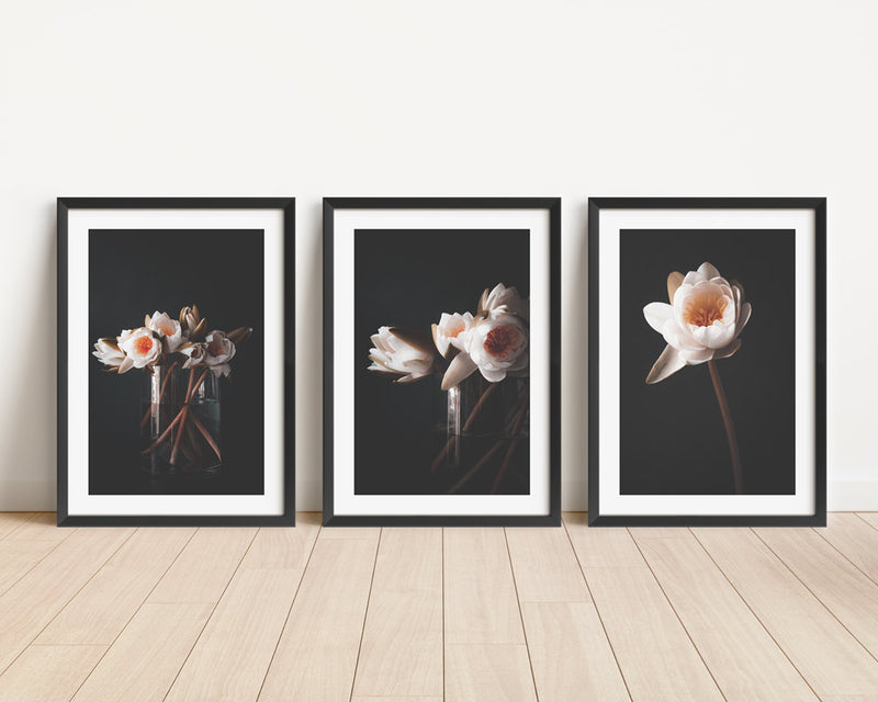 Set of 3 - Water Lily I / II & Solo Water Lily
