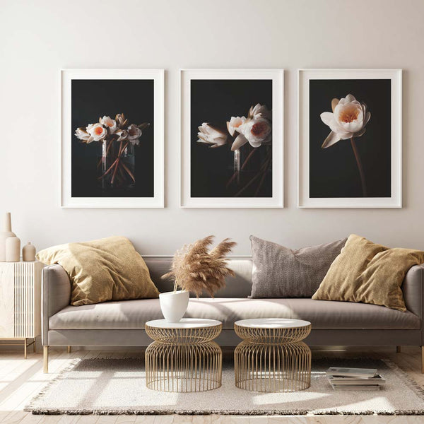 Set of 3 - Water Lily I / II & Solo Water Lily