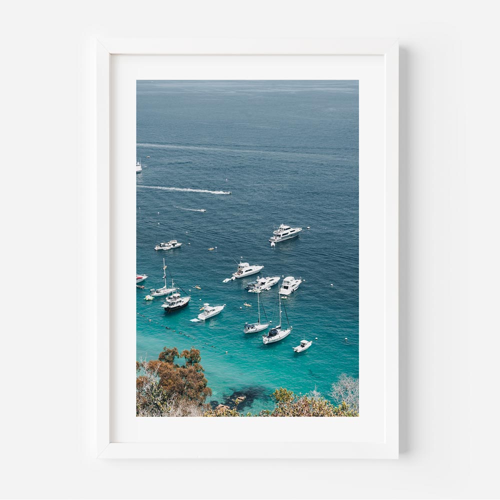 Catalina California IV Art Print