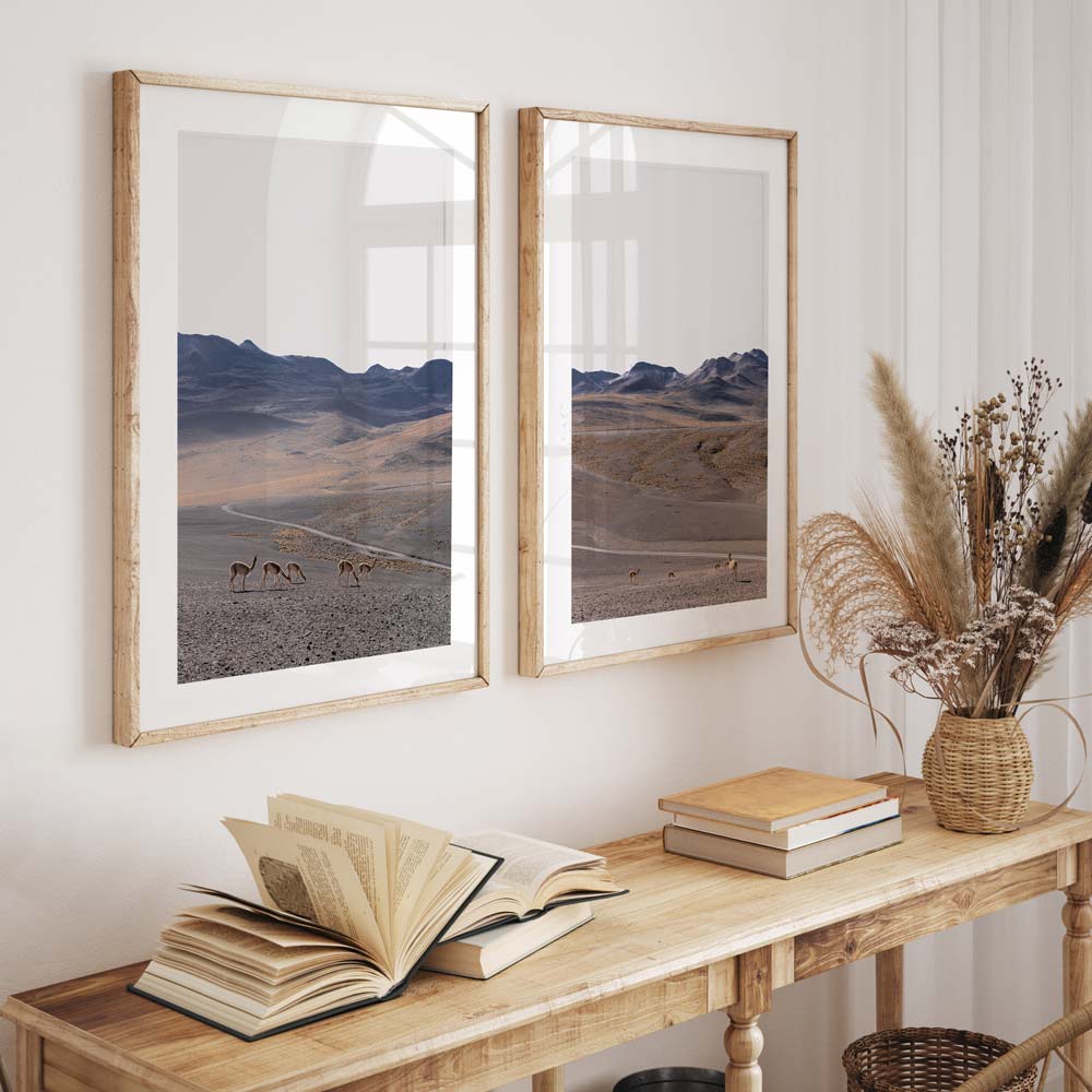 Vicuñas Safari Art Print