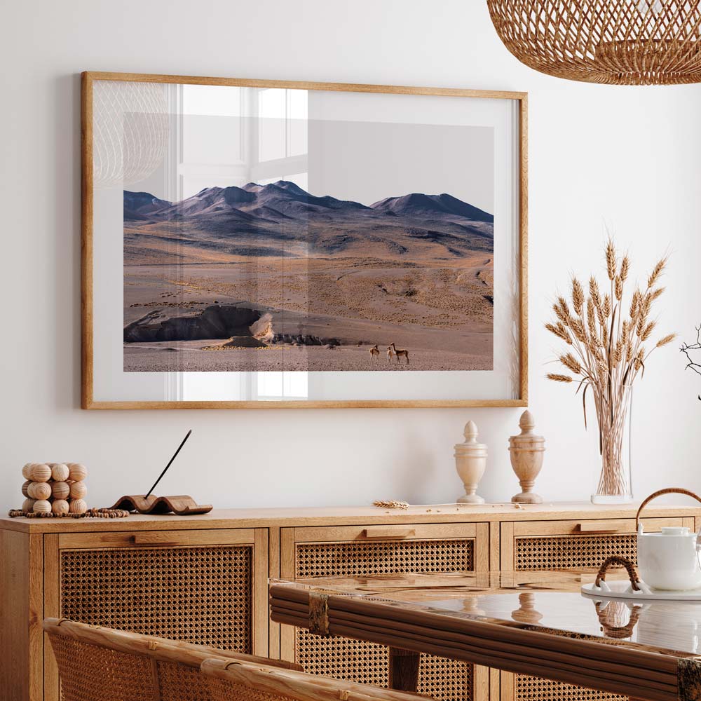 Vicuñas Family Art Print