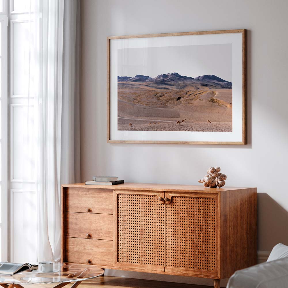Vicuñas Herd Art Print