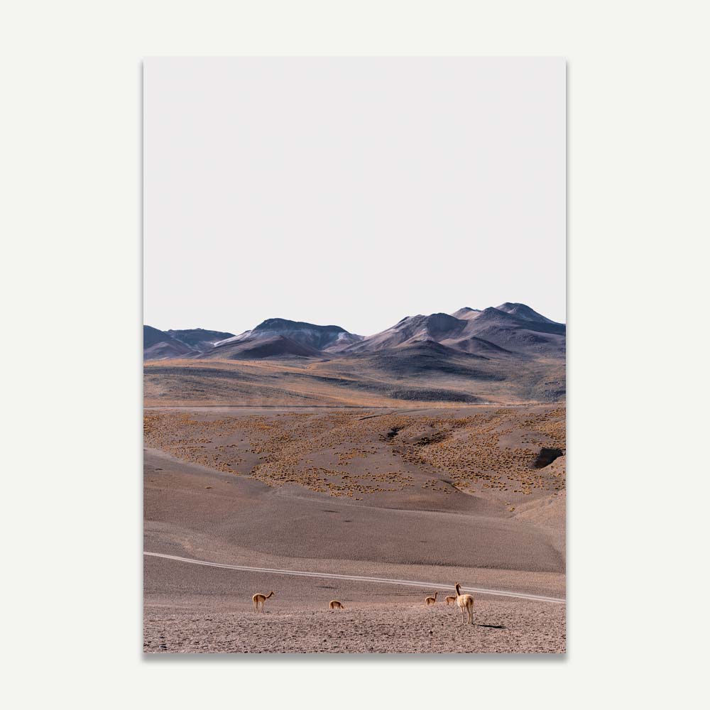 A landscape photograph featuring a desert environment with mountains in the background and vicuñas in the foreground.