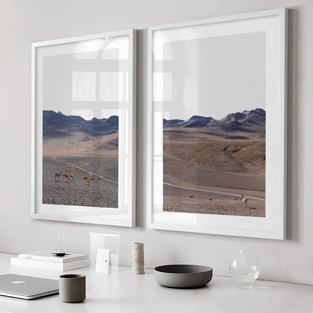 Vicuñas Safari de Atacama Art Print