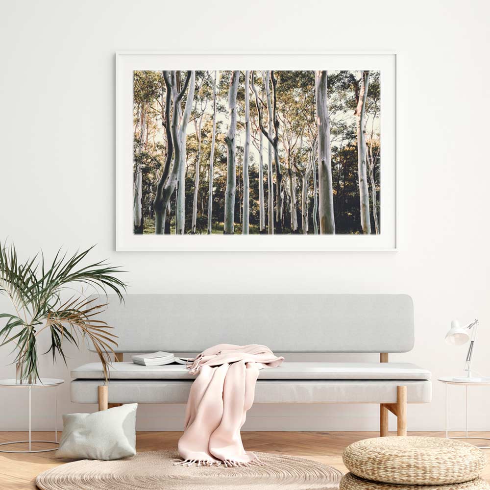 Australian Ghost Gums Art Print