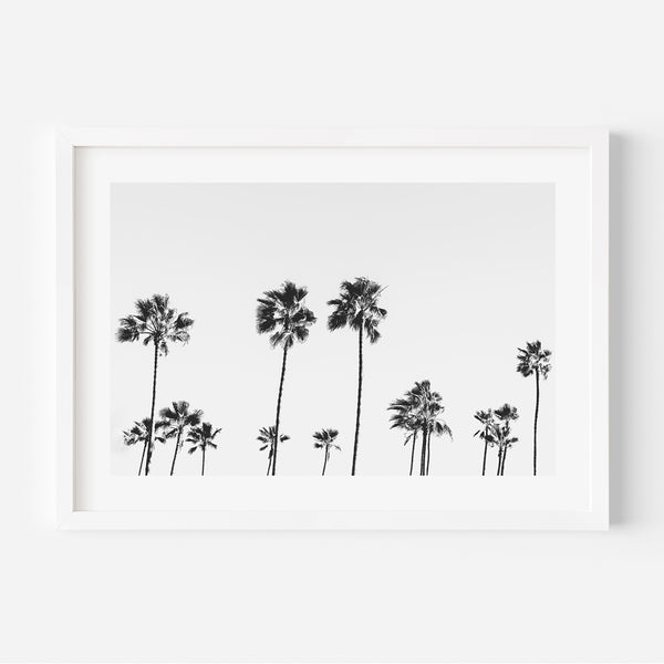 BW LA Palms