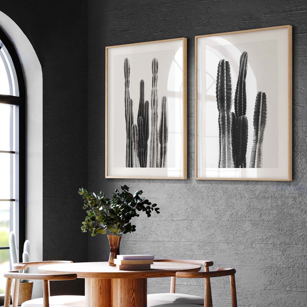 Subtle Tones: Artistic portrayal of a Torch Cactus in monochrome, adding a touch of sophistication to any room decor.