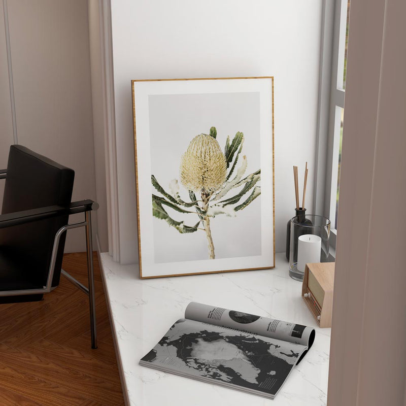 Banksia II