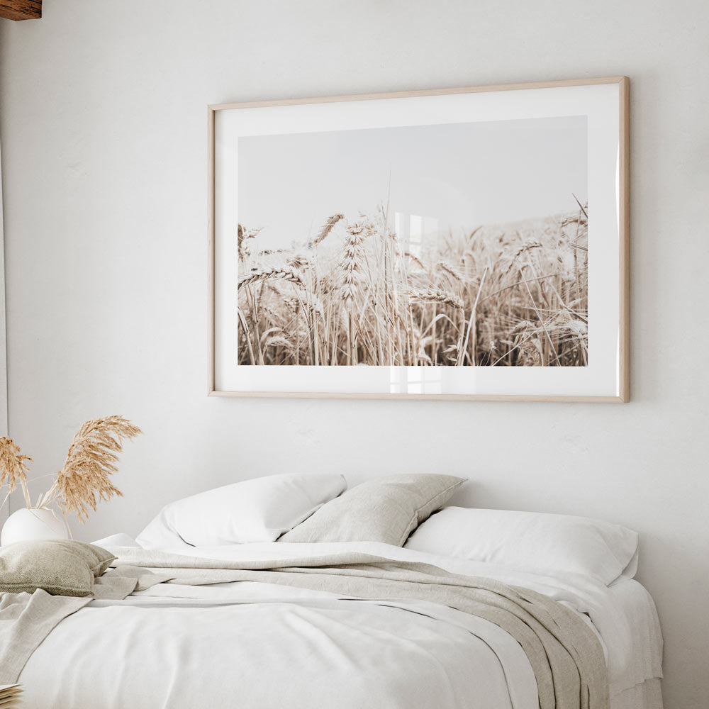 Wall art: Sepia wheat field - A captivating photograph of a wheat field in sepia tones, perfect for adding warmth to any space.