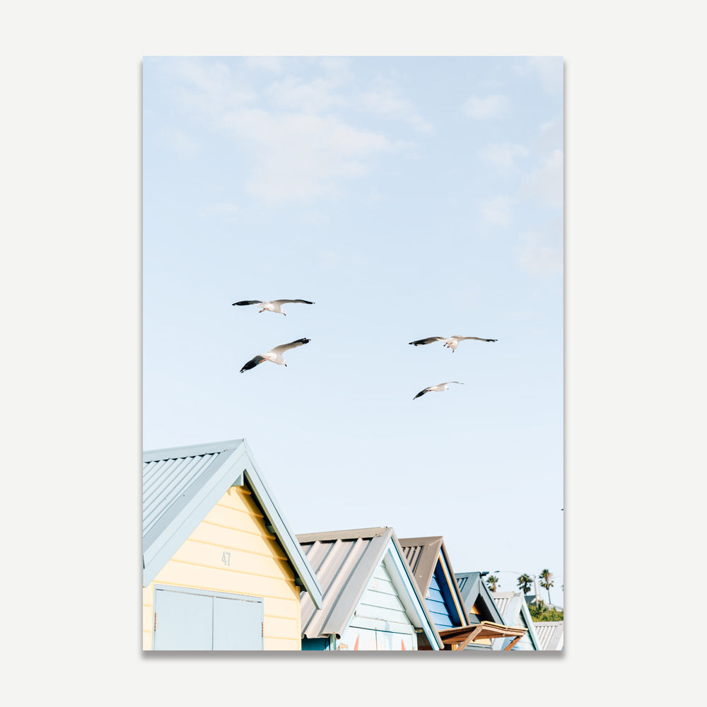 Brighton Seagulls Art Print