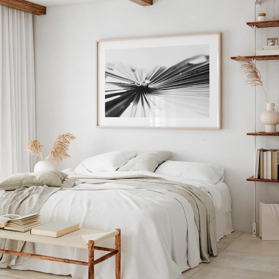 BW Fan Palm Art Print