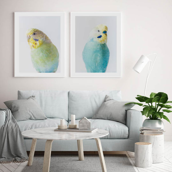 Green Budgie Art