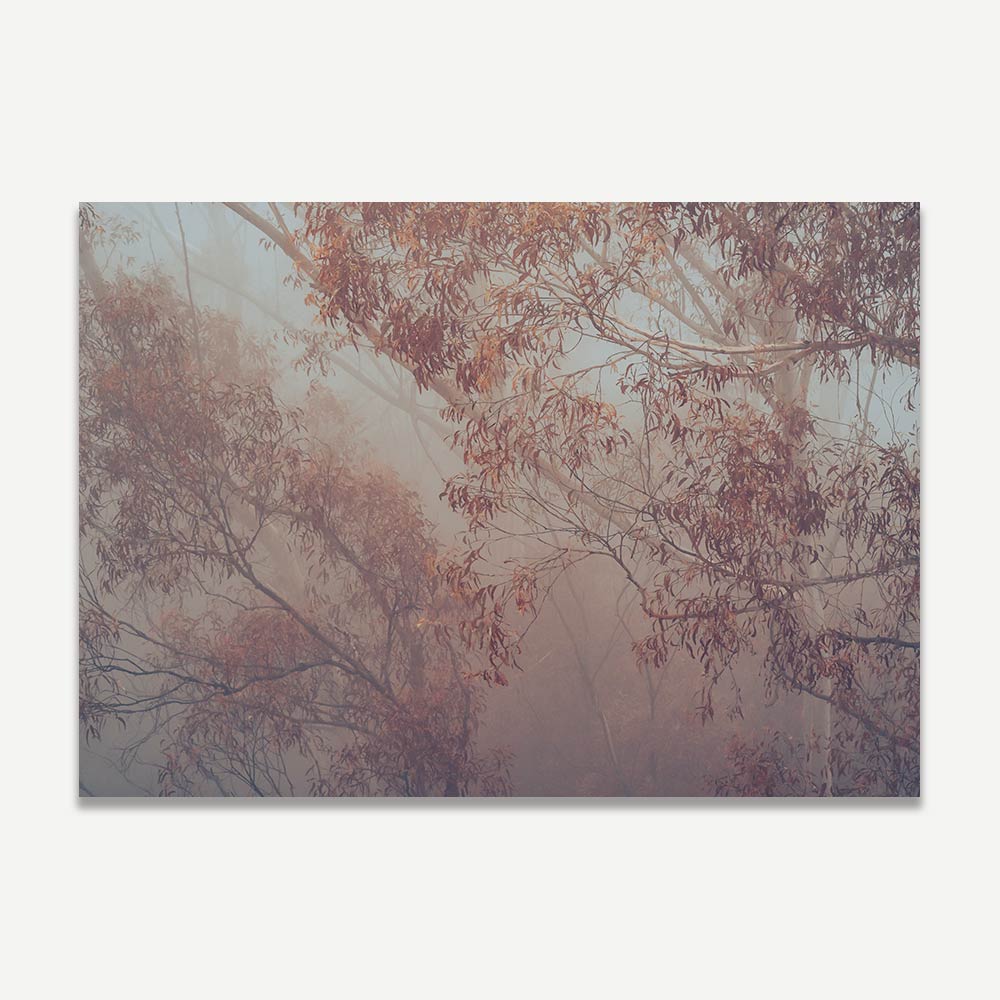 A photographic print of eucalyptus trees with a misty background, predominantly in shades of red and orange.