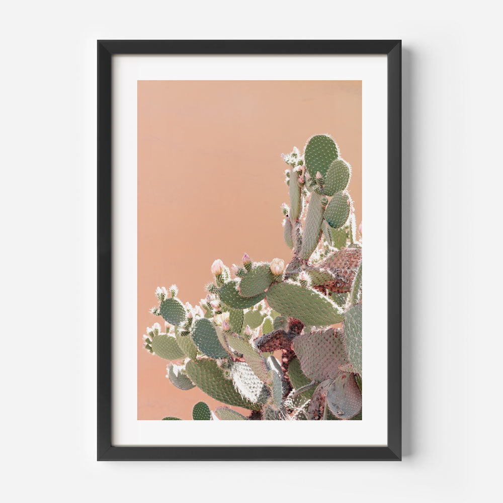 San Esteban II Art Print