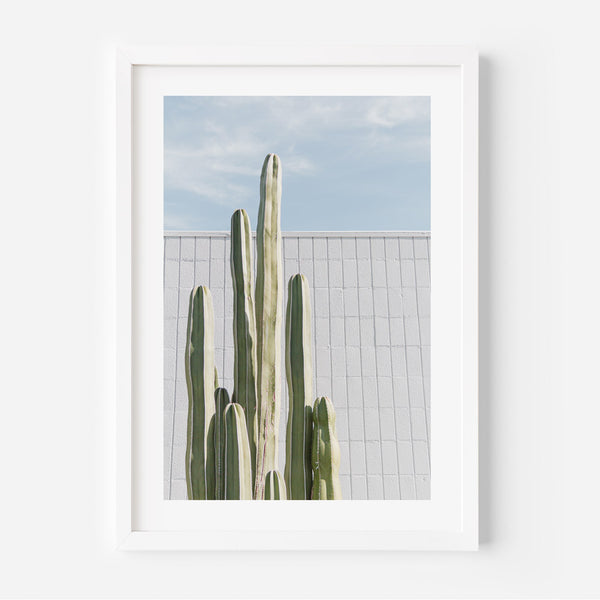 Cactus Tower