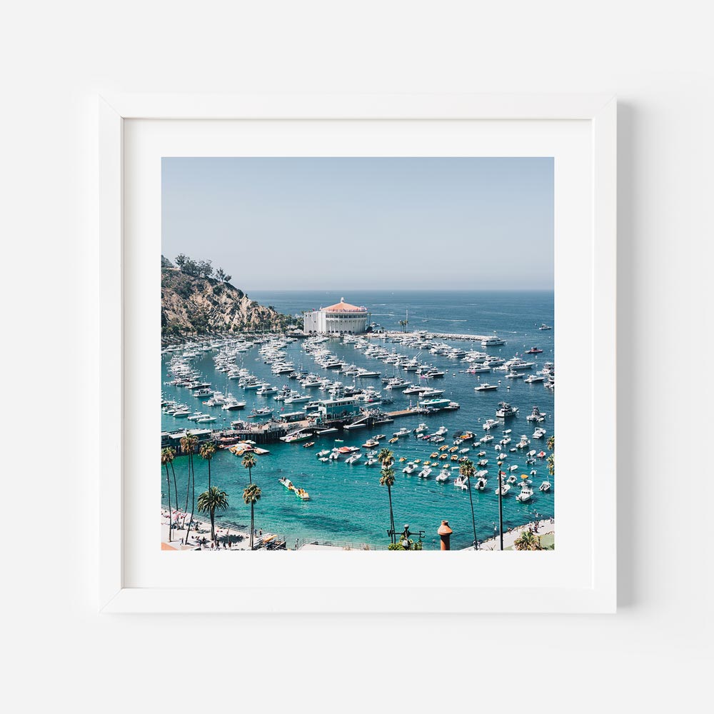 A framed photo of boats docked in the ocean at Santa Catalina Island, California