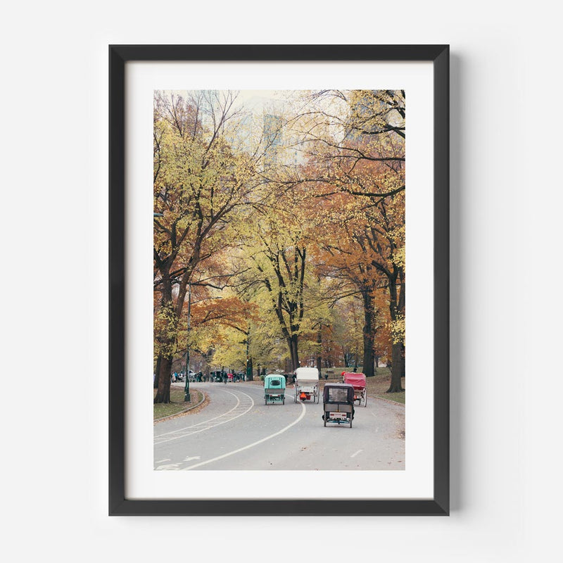 Central Park I