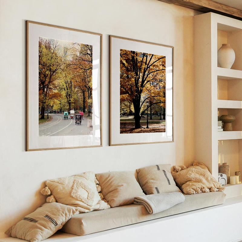 Central Park I
