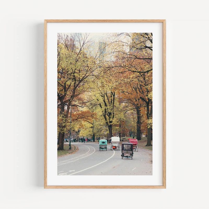 Central Park I