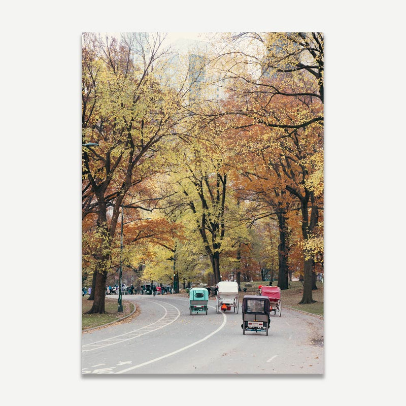 Central Park I