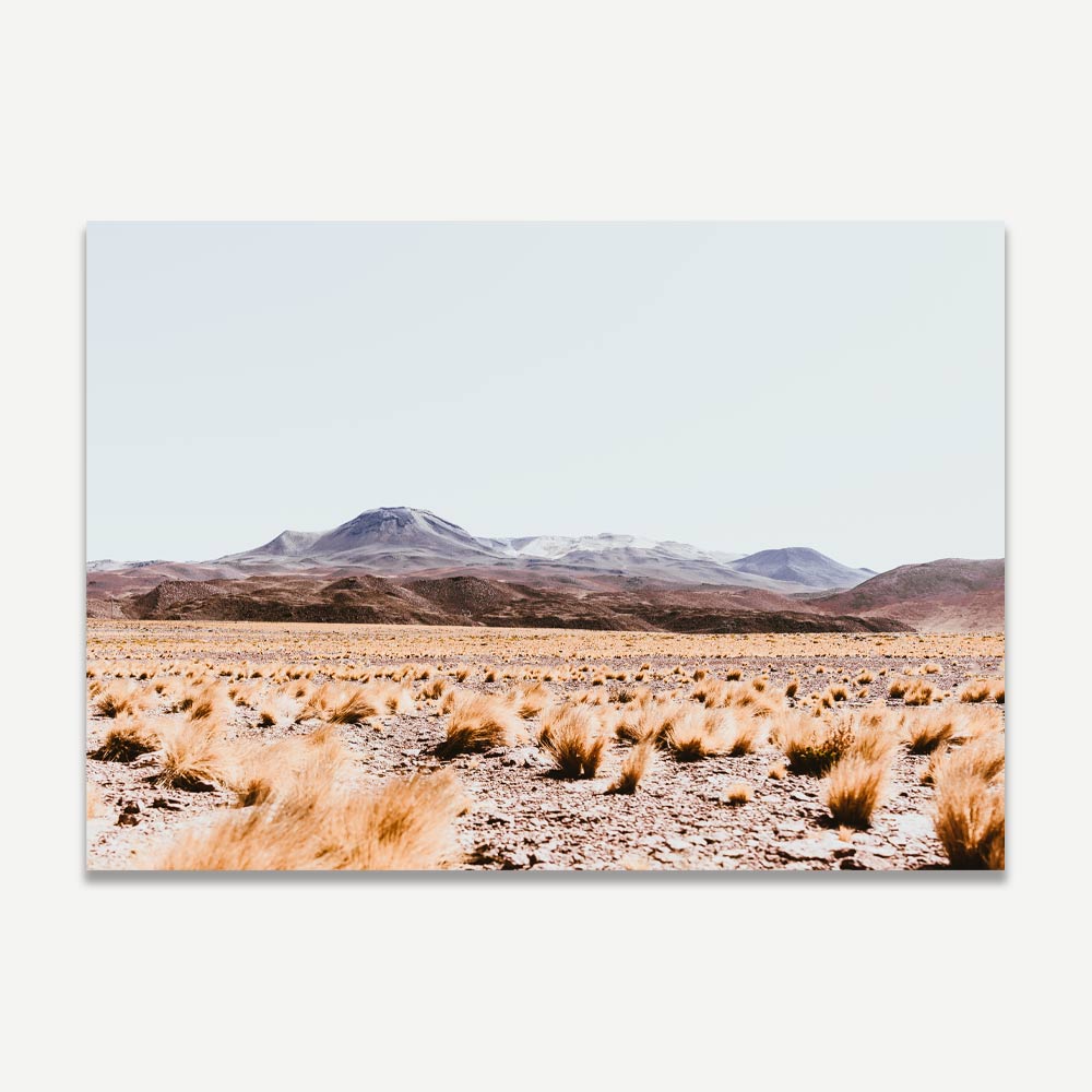 A landscape photo featuring a desert scene with mountains in the background and dry grass in the foreground, predominantly in shades of blue, orange, and beige.