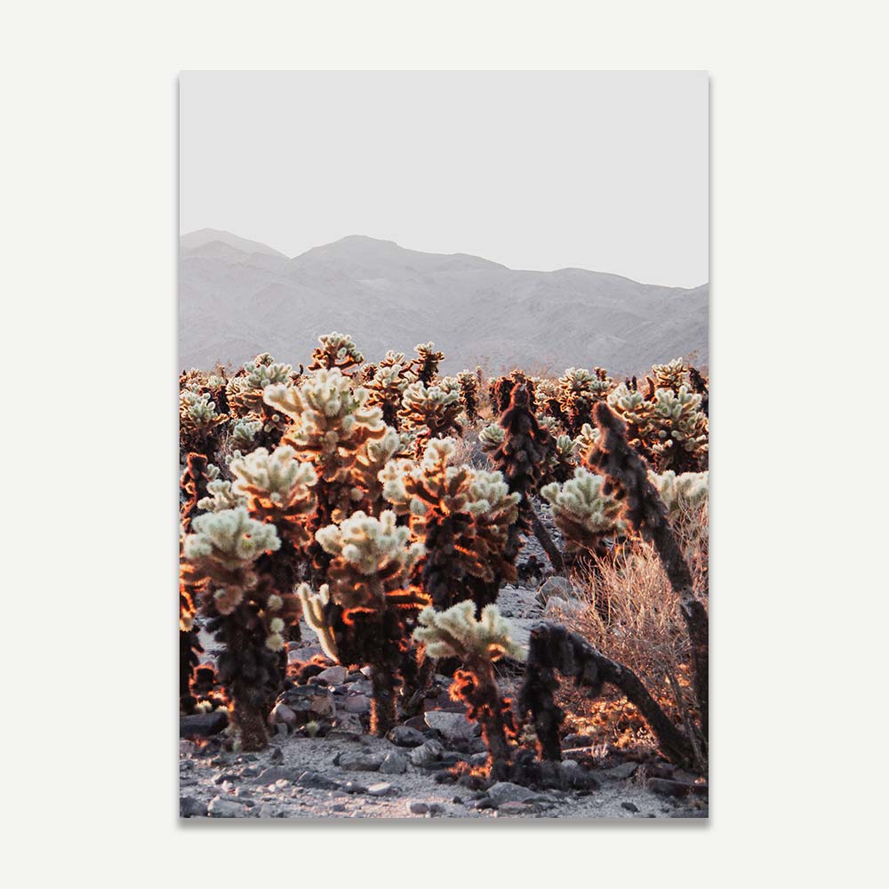Set of 2 Art Prints - Cholla I & II