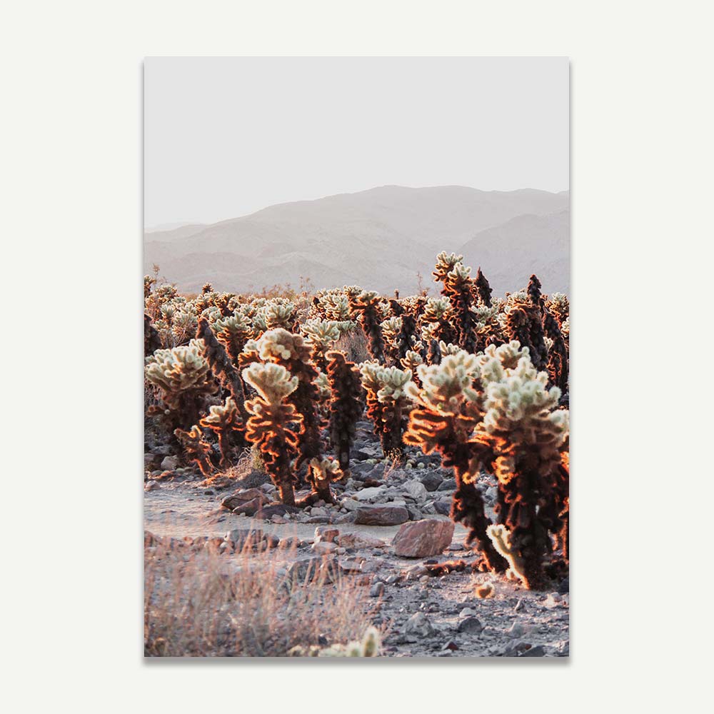 Set of 2 Art Prints - Cholla I & II